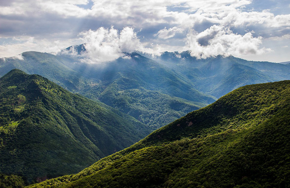 Clouds Forest / Jangal-e Abr; Photo by Amir Harirchi (ISNA)